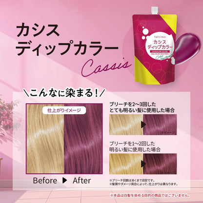 Tottimo! Dip Color Cassis Hair Treatment 500g for Japanese Hair Care
