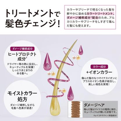 Tottimo! Dip Color Cassis Hair Treatment 500g for Japanese Hair Care