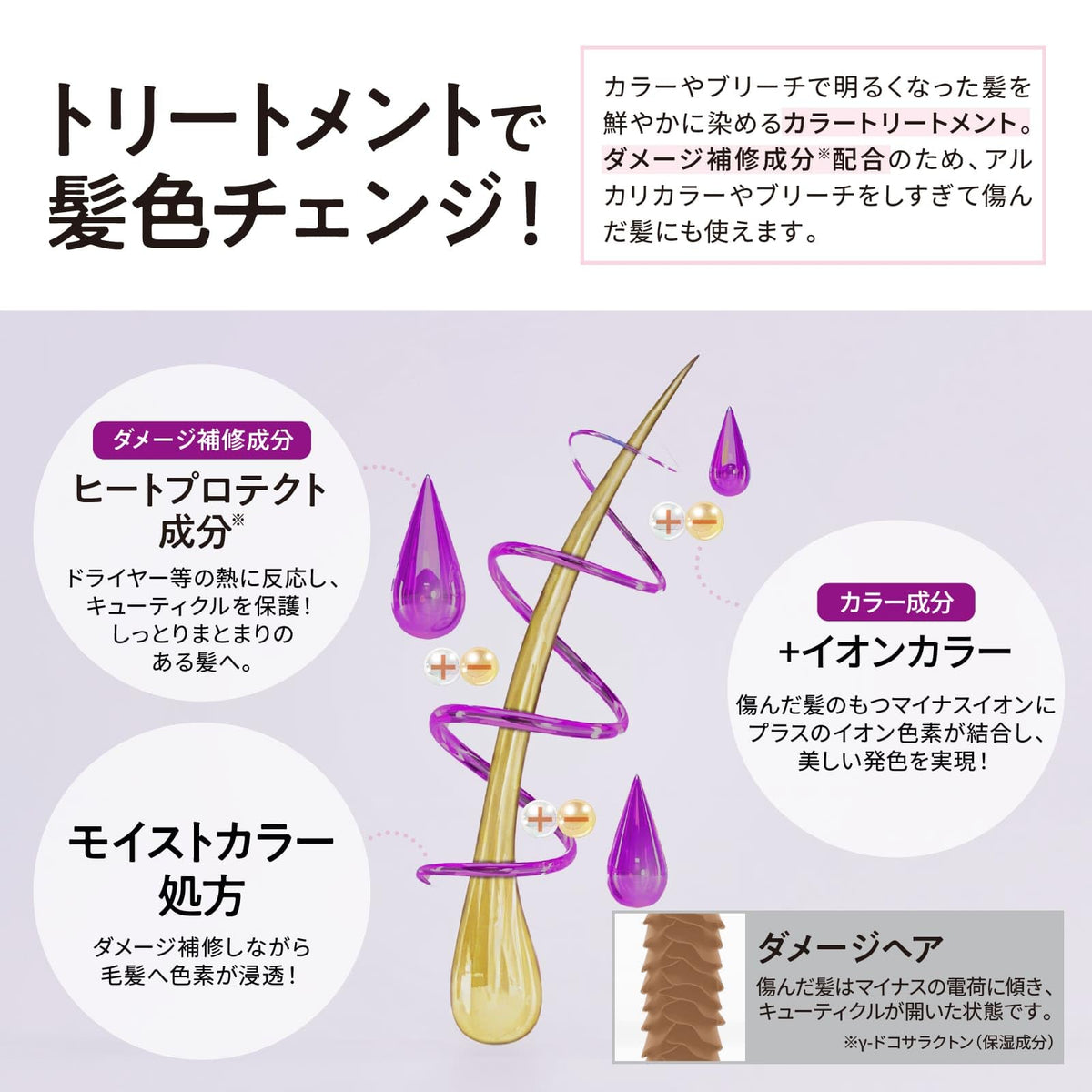 Tottimo! Color Treatment Purple 500g for Japanese Hair Care