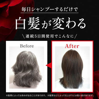 VALANROSE Color Treatment Shampoo Dark Brown 400g for Hair Care