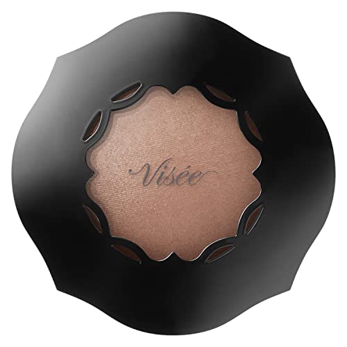 Visee Rich Fogy On Cheeks Cinnamon Brown Blush 5g