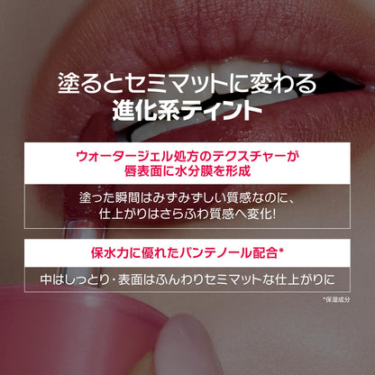 WAKEMAKE Water Blurring Layer Tint 05 Pale Haze Semi-Matte Lip Tint