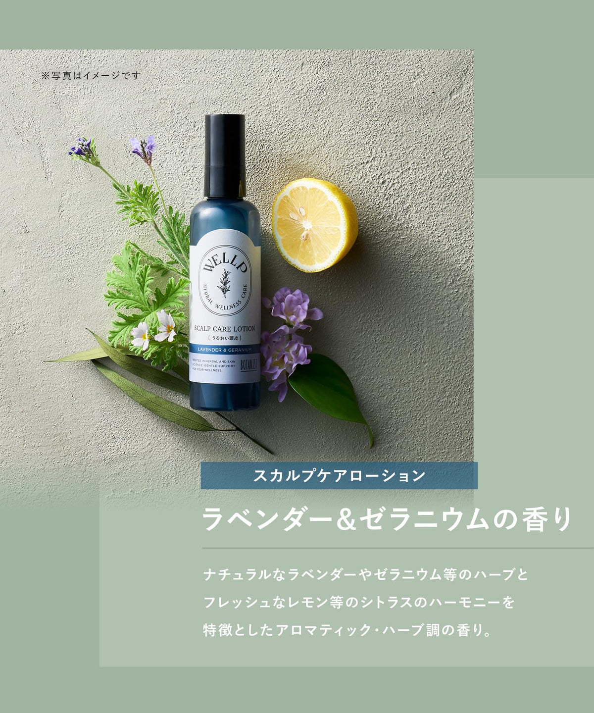 WELLP Scalp Care Lotion 120mL Lavender &amp; Geranium Scent