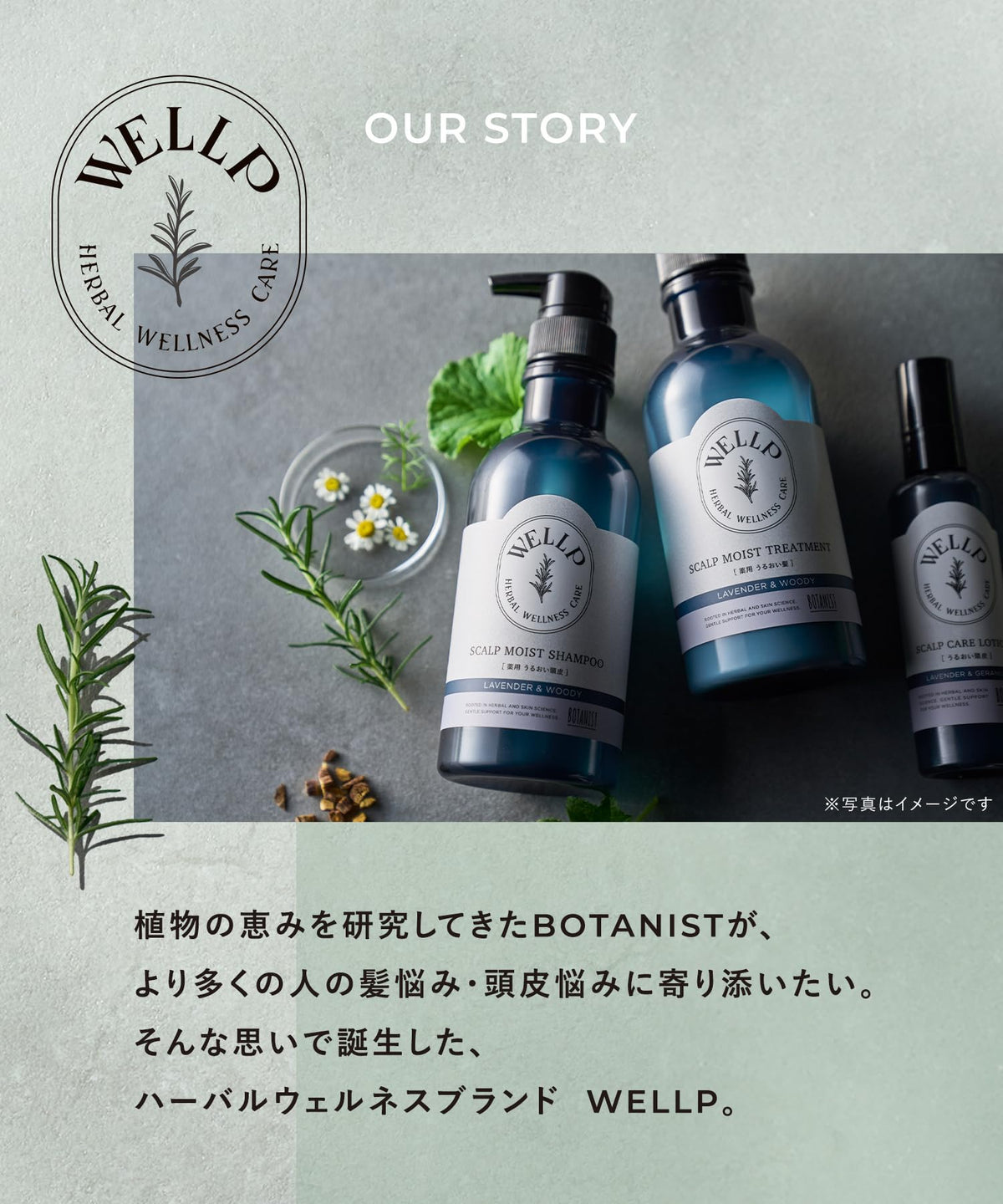 WELLP Scalp Care Lotion 120mL Lavender &amp; Geranium Scent