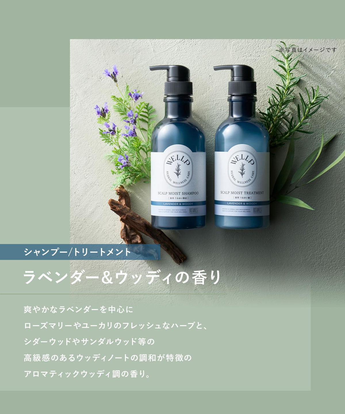 WELLP Moist Treatment Refill for Scalp Care 400ml