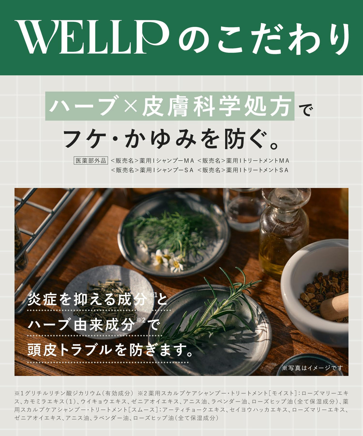 WELLP Smooth Treatment Refill for Scalp Care 500ml