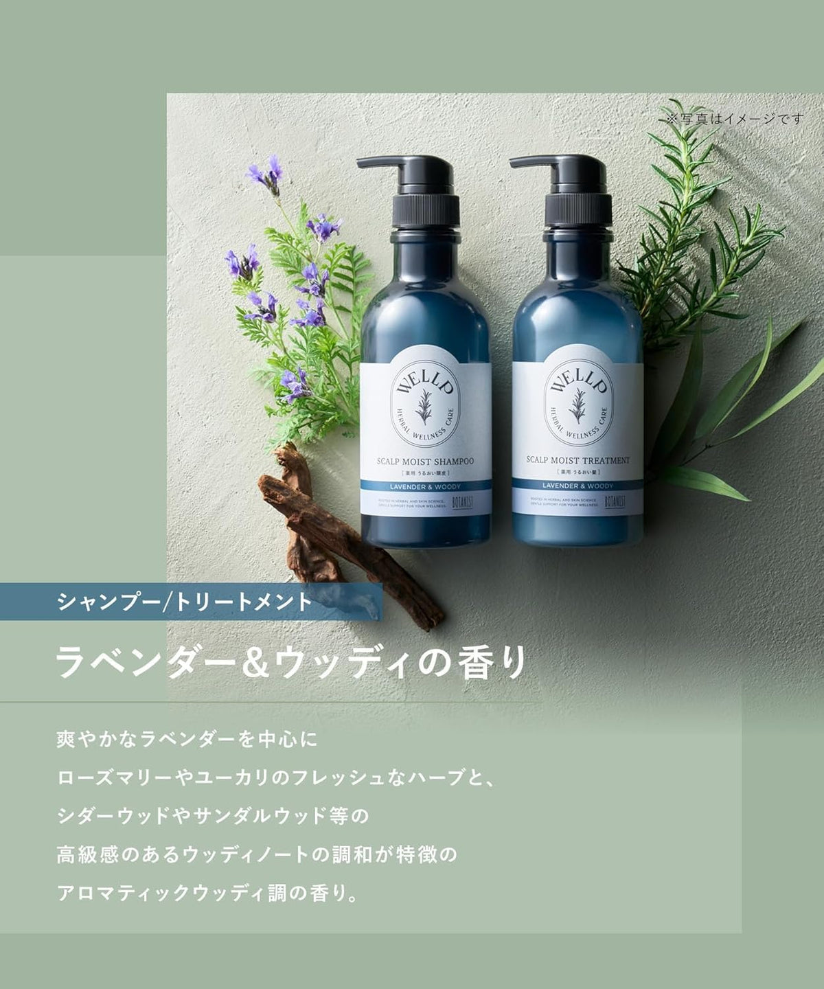 WELLP Shampoo Traitement Hydratant Échantillon