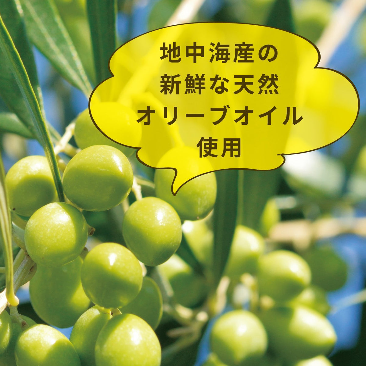 Yanagiyahonten Olive Label Hair Moist Cream 160g