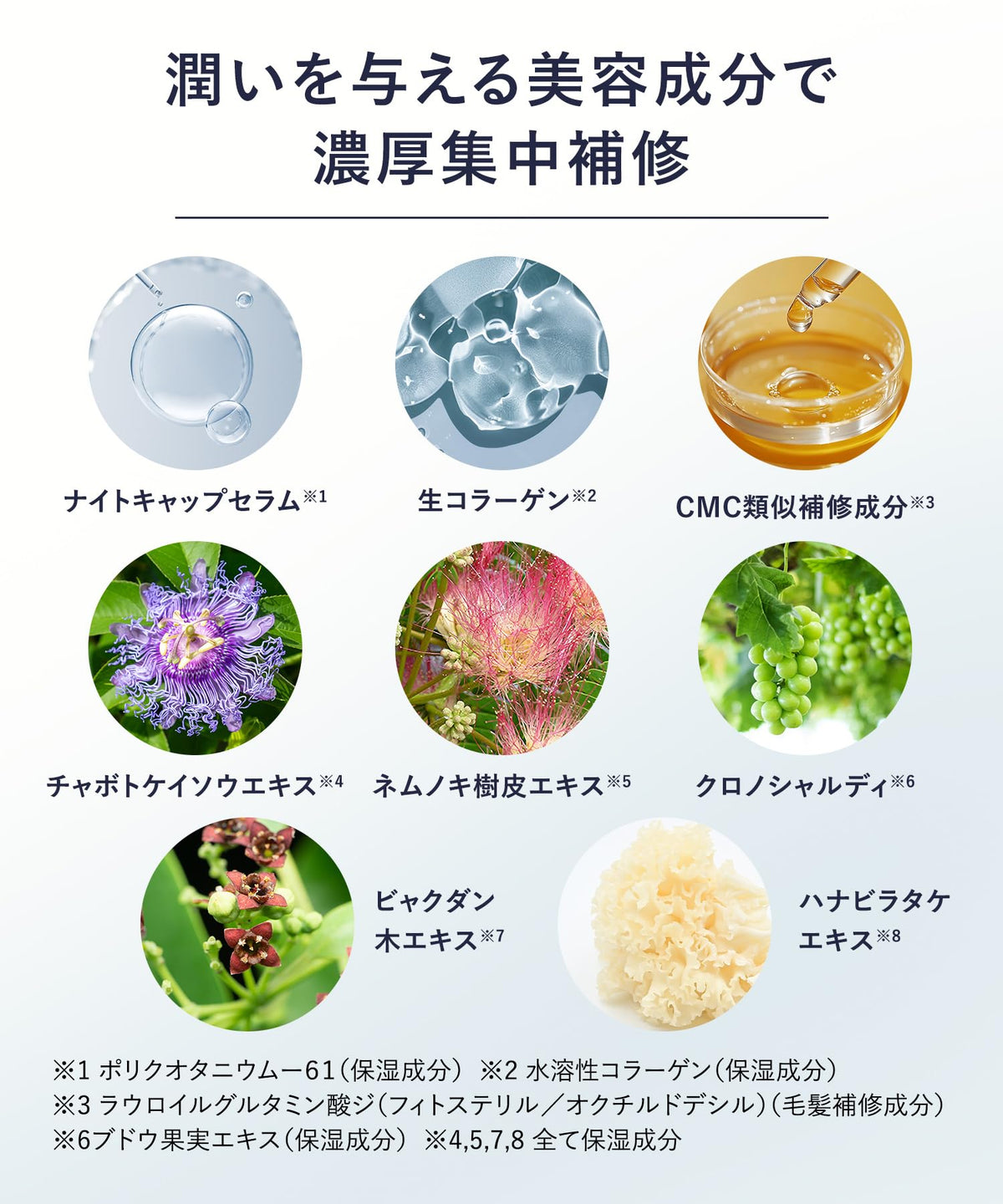 YOLU Deep Night Repair Shampoo Refill for Japanese Hair Care