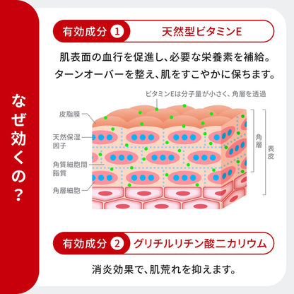 Zane Moisturizing Cream E 48g for Japanese Skincare