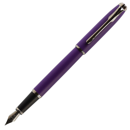 Teranishi Chemical Fountain Pen &amp; Guitar Pen Fine Point