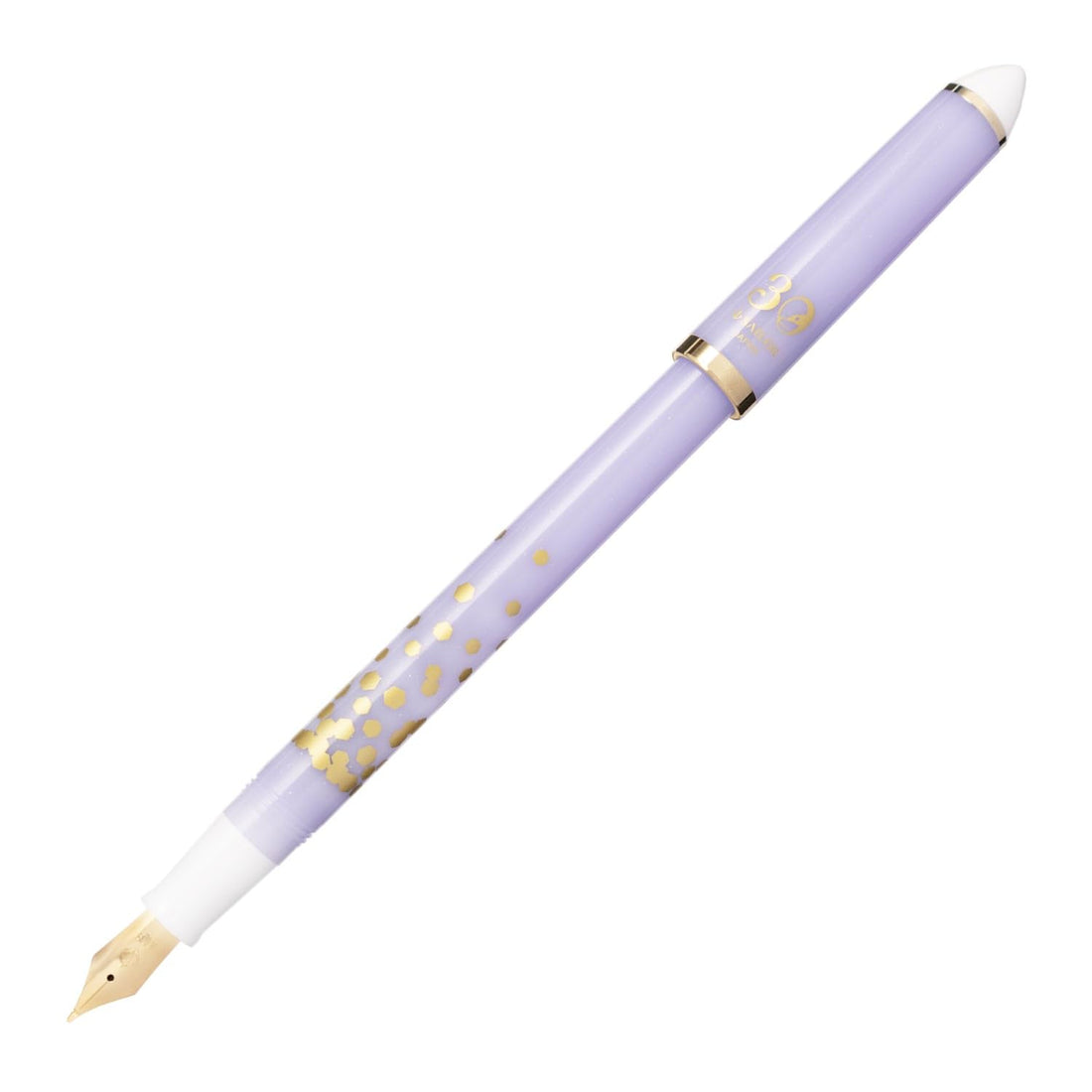 Sailor Fountain Pen Fude DE Mannen Calligraphy Pen & Limited Edition