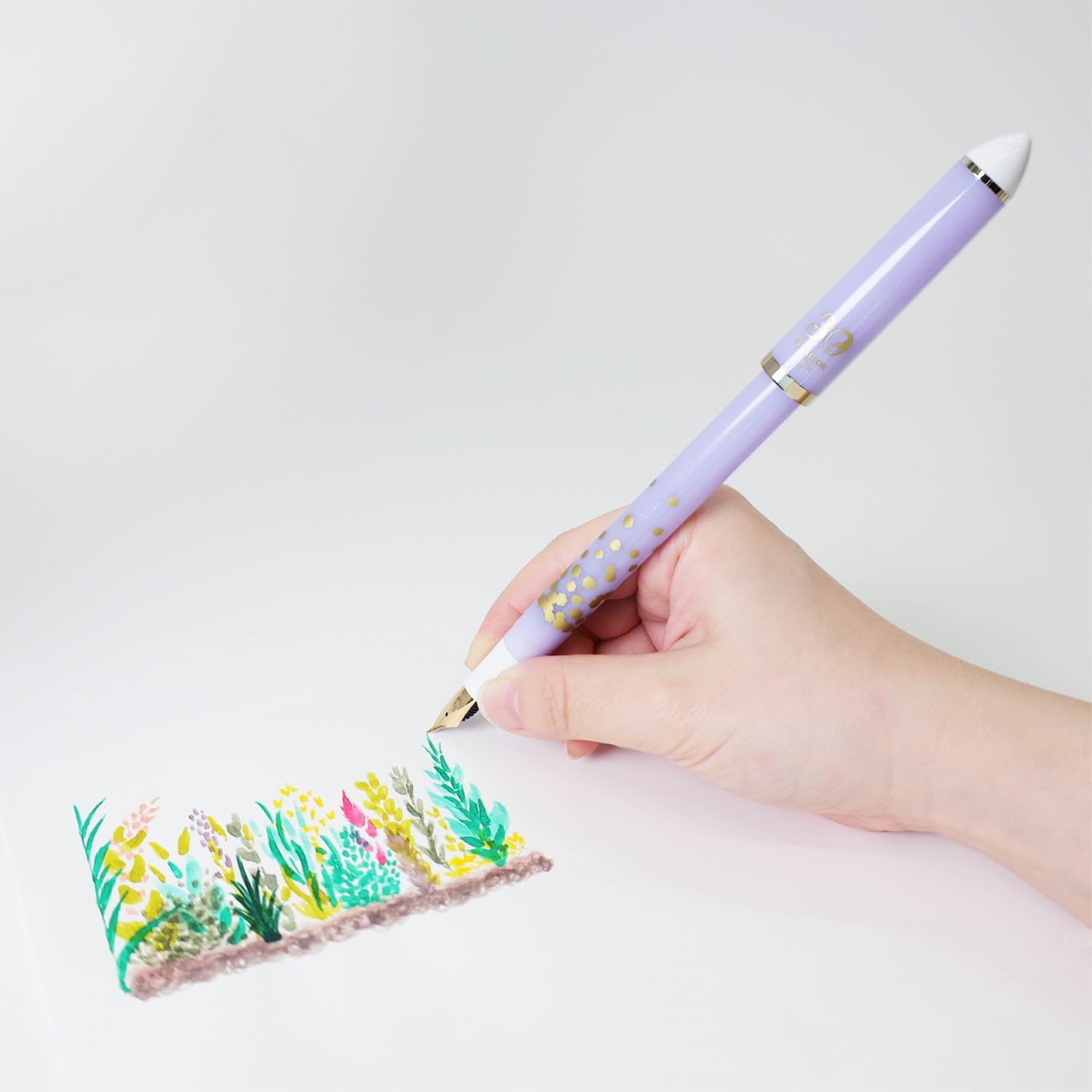 Sailor Fountain Pen Fude DE Mannen Calligraphy Pen &amp; Limited Edition