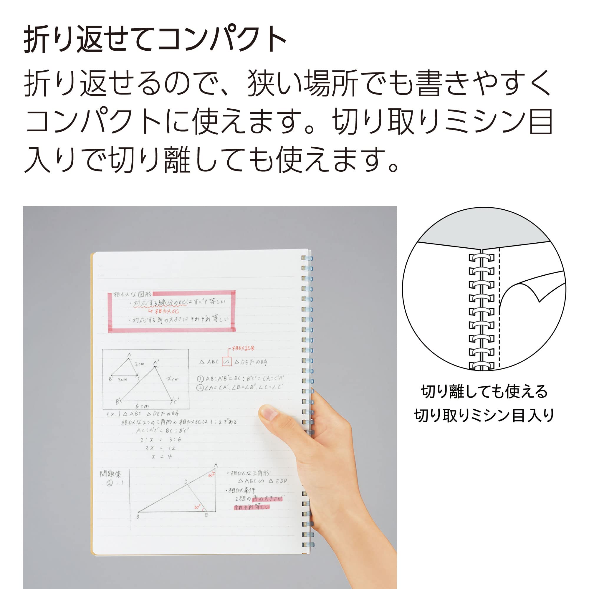 KOKUYO Campus Soft Ring Notebook Set with Dotted A4 &amp; B5 Sizes