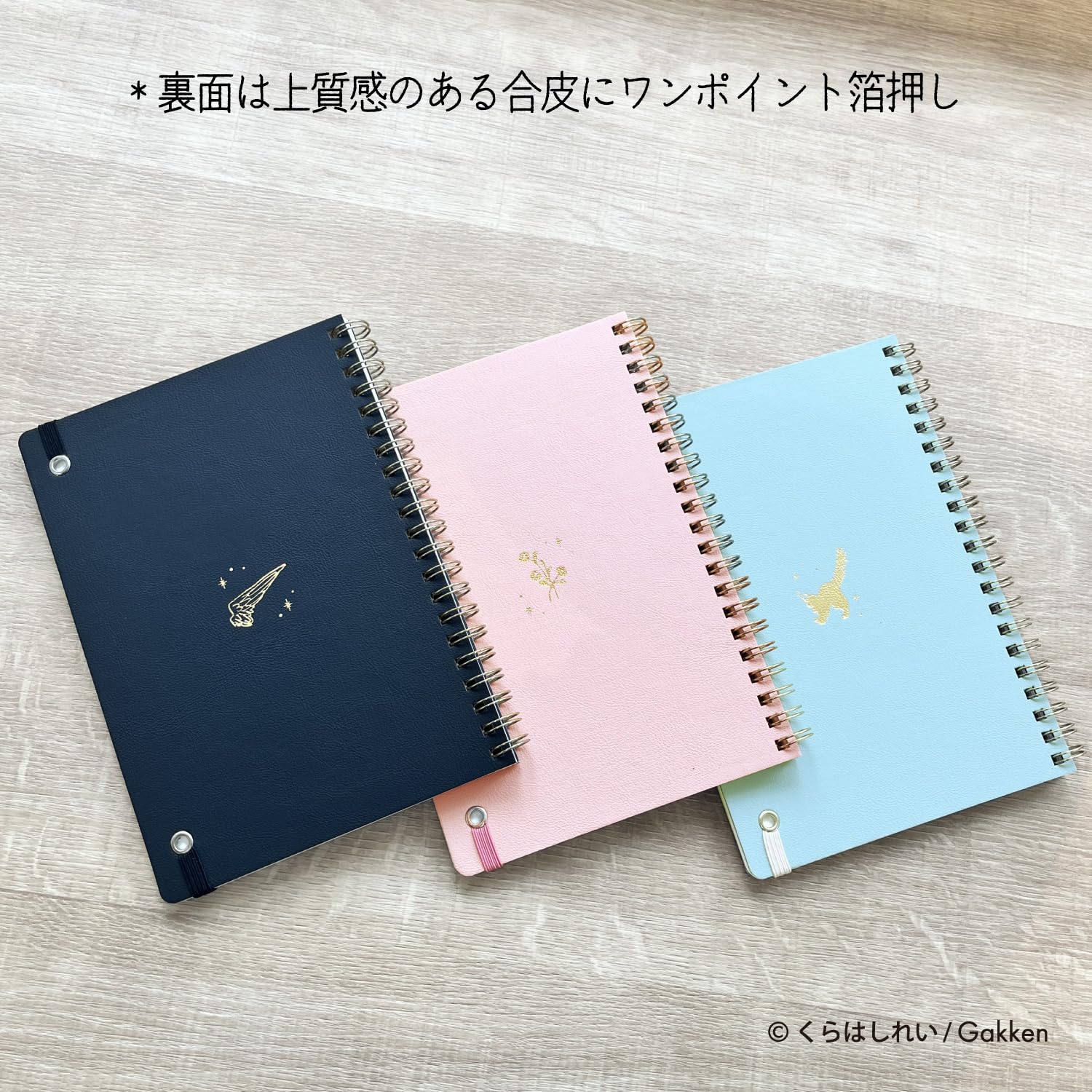 Gakken Sta:Ful B6 Ring Notebook for Everyday Use