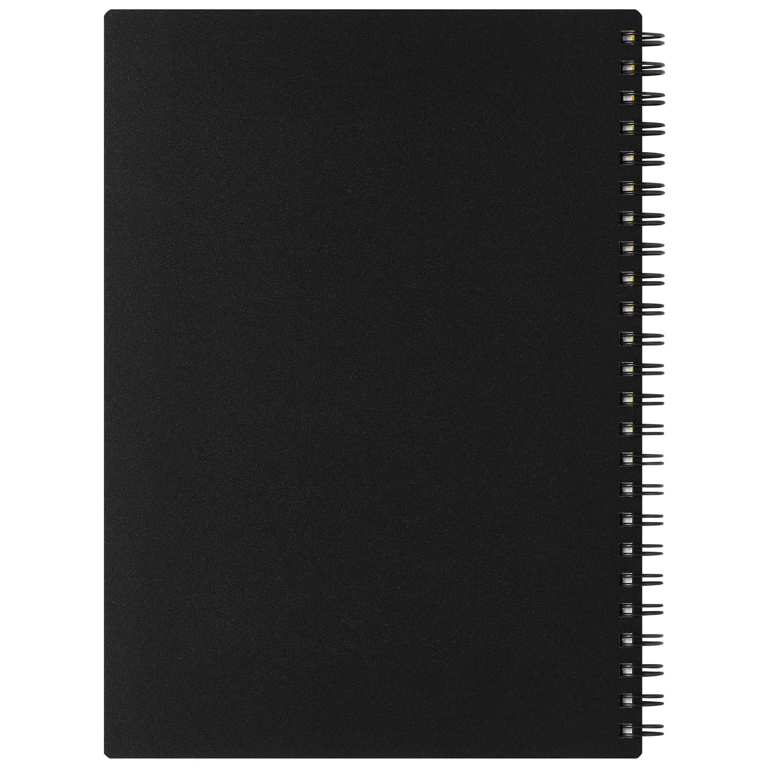 Maruman Nemosine &amp; Nymo Shine Ring Notebook 20th Anniversary