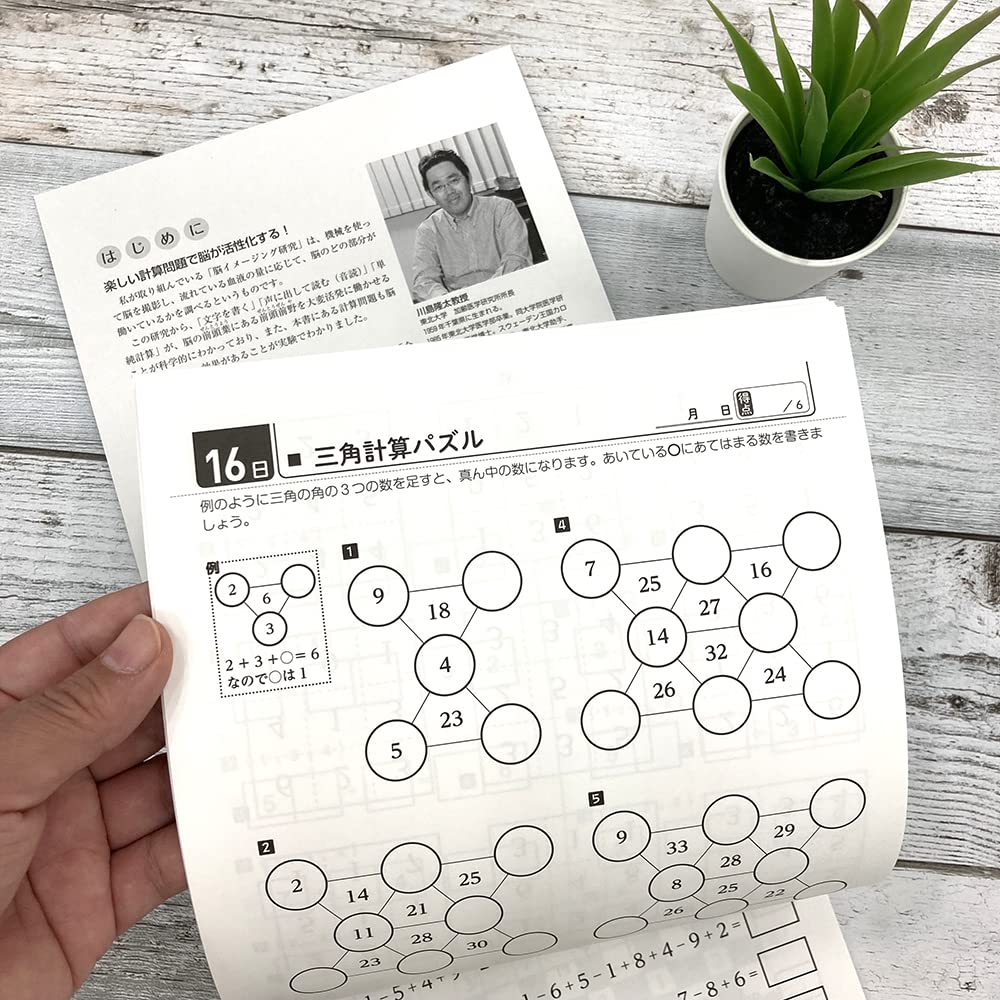 Gakken Sta:Ful Adult Workbook Brain Activation 50-Day Drill