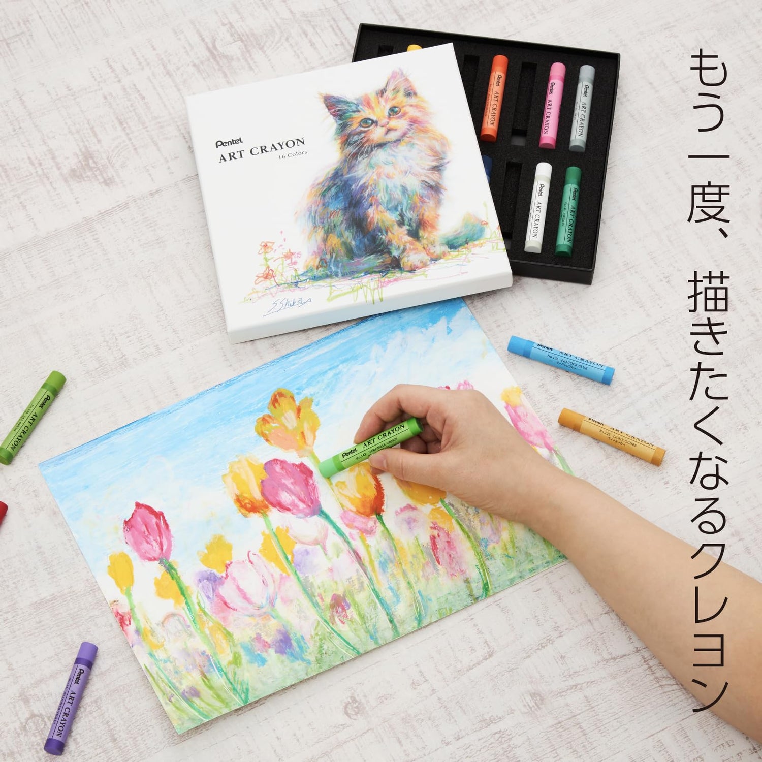 Pentel Crayon Art Crayon Set with Various Color Options