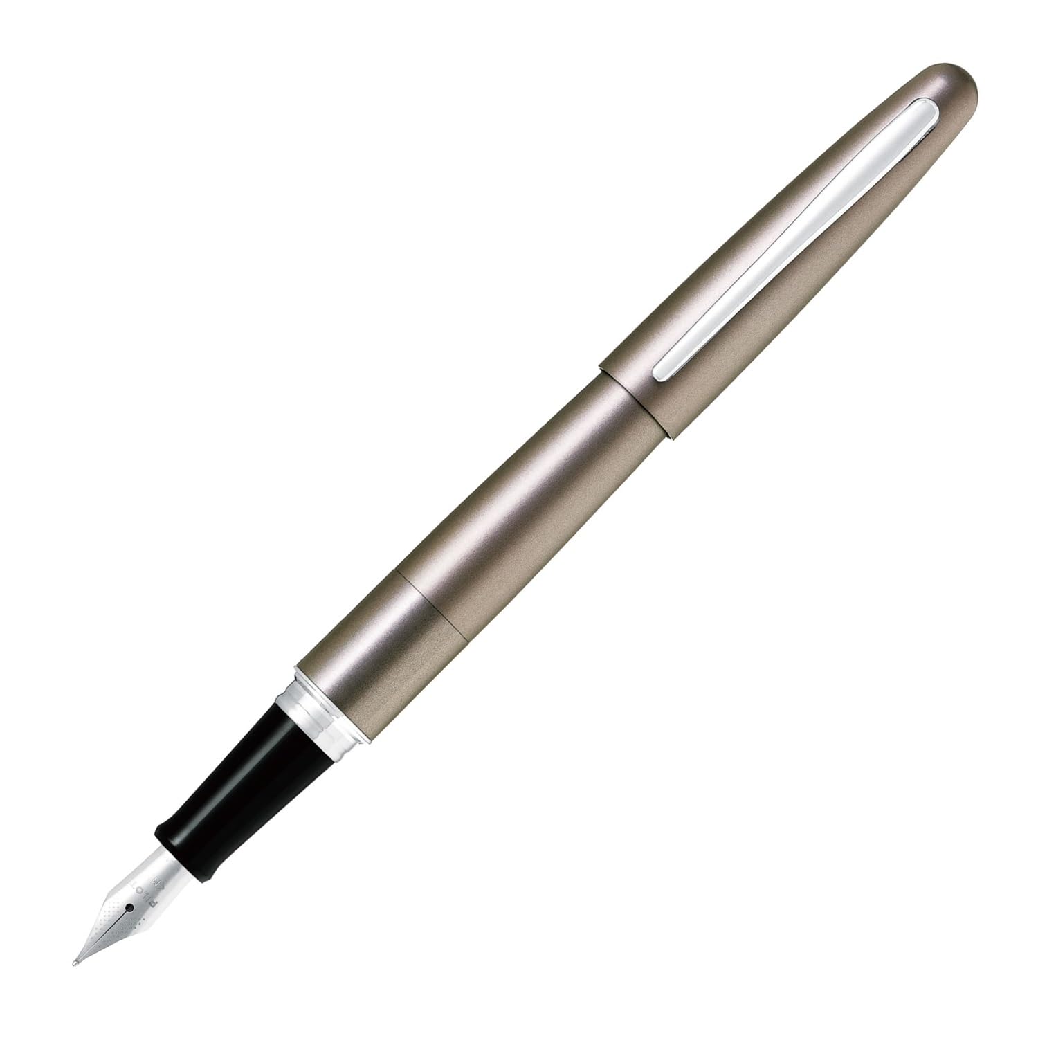 PILOT Cocoon Fountain Pen with Fine and Medium Nibs