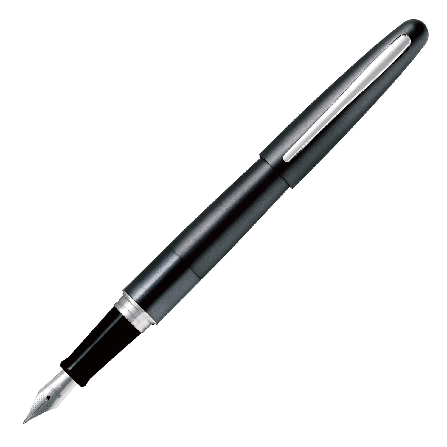 PILOT Cocoon Fountain Pen with Fine and Medium Nibs