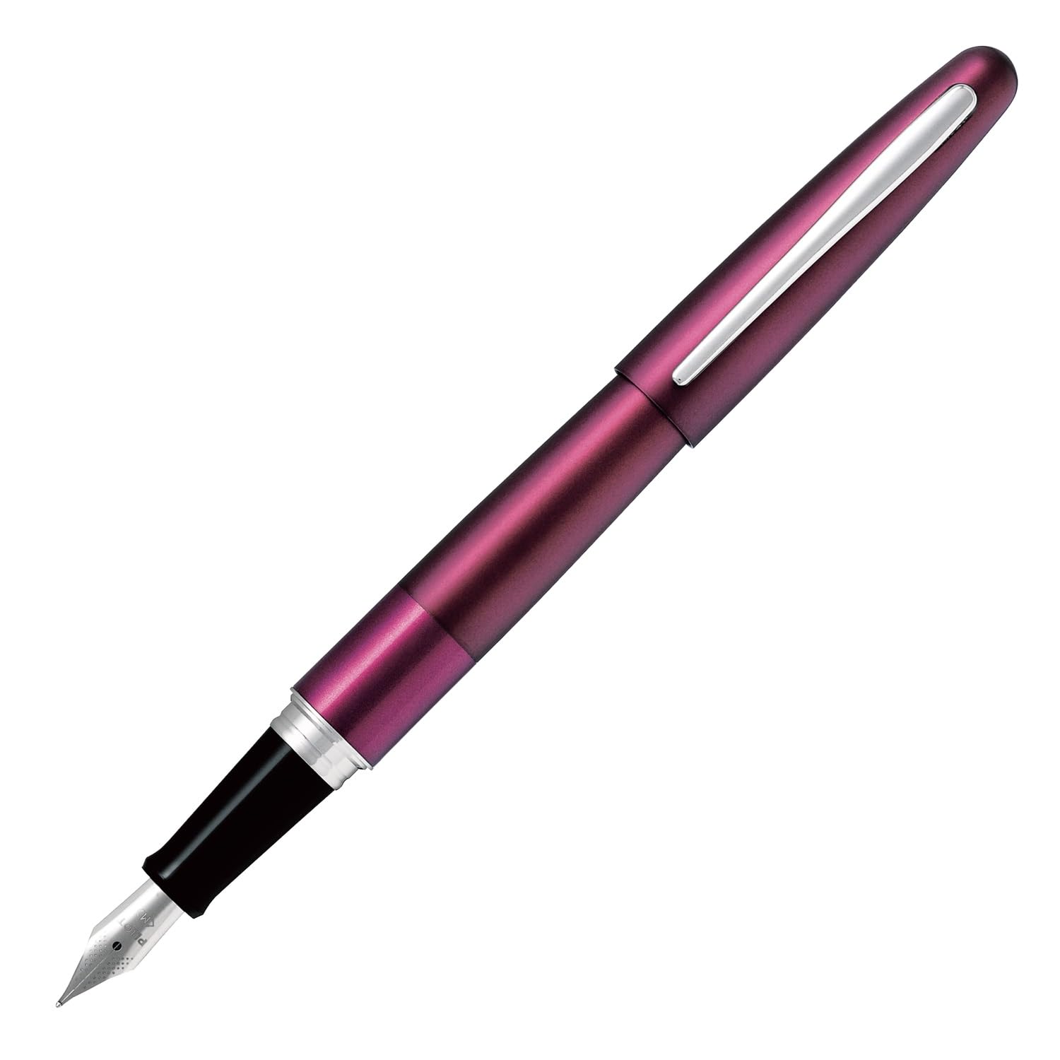 PILOT Cocoon Fountain Pen with Fine and Medium Nibs