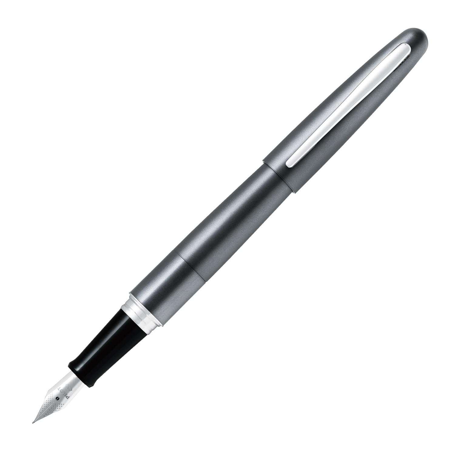 PILOT Cocoon Fountain Pen with Fine and Medium Nibs