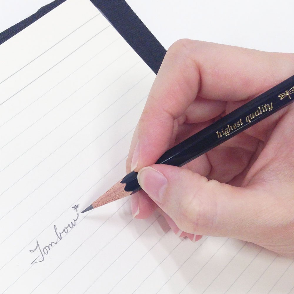 Tombow Premium Pencil 12-Pack Variety for Smooth Writing Experience