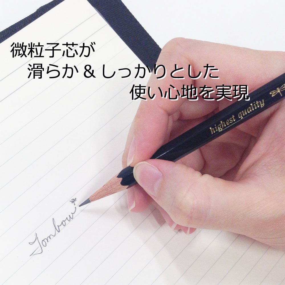 Tombow Premium Pencil 12-Pack Variety for Smooth Writing Experience