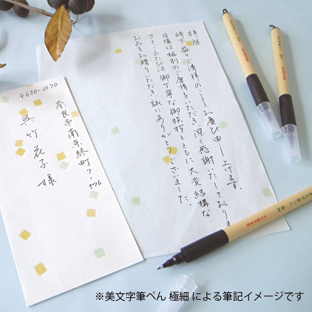 Kuretake Brush Pen &amp; Calligraphy Pen Set - Medium &amp; Fine Tips
