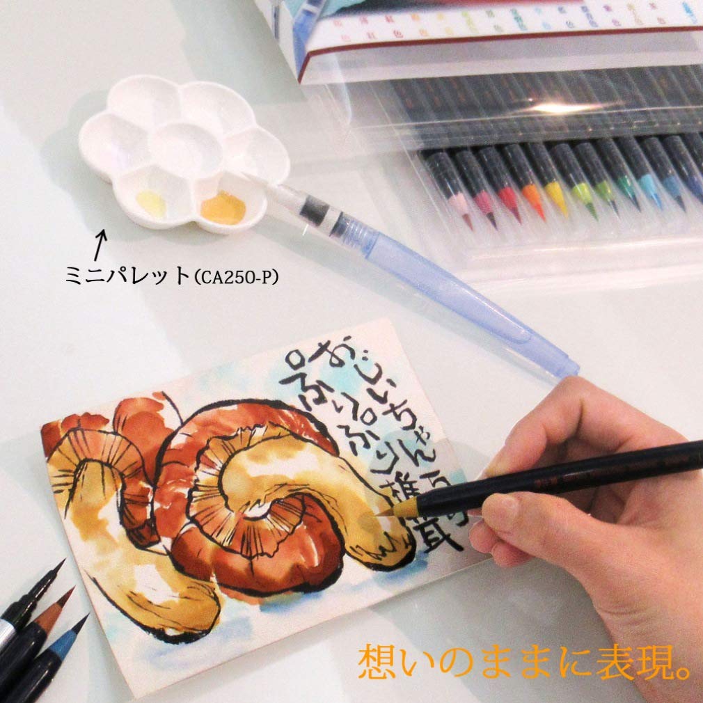 Akashiya Watercolor Brush Pens Set 14 Colors Plus 2 Extra Brushes