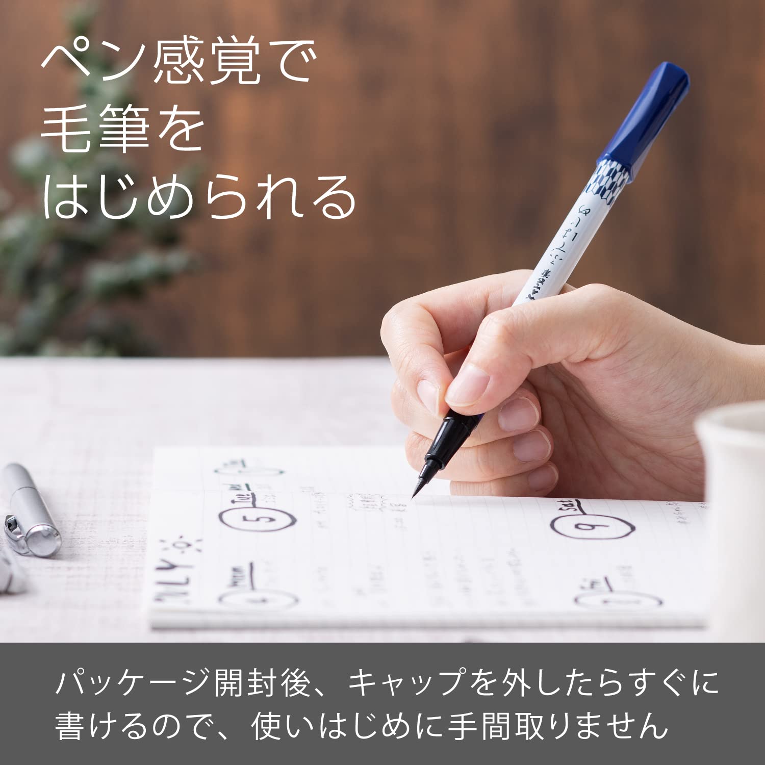 Pentel Brush Pen with Arrow &amp; Scale Patterns for Art and Writing