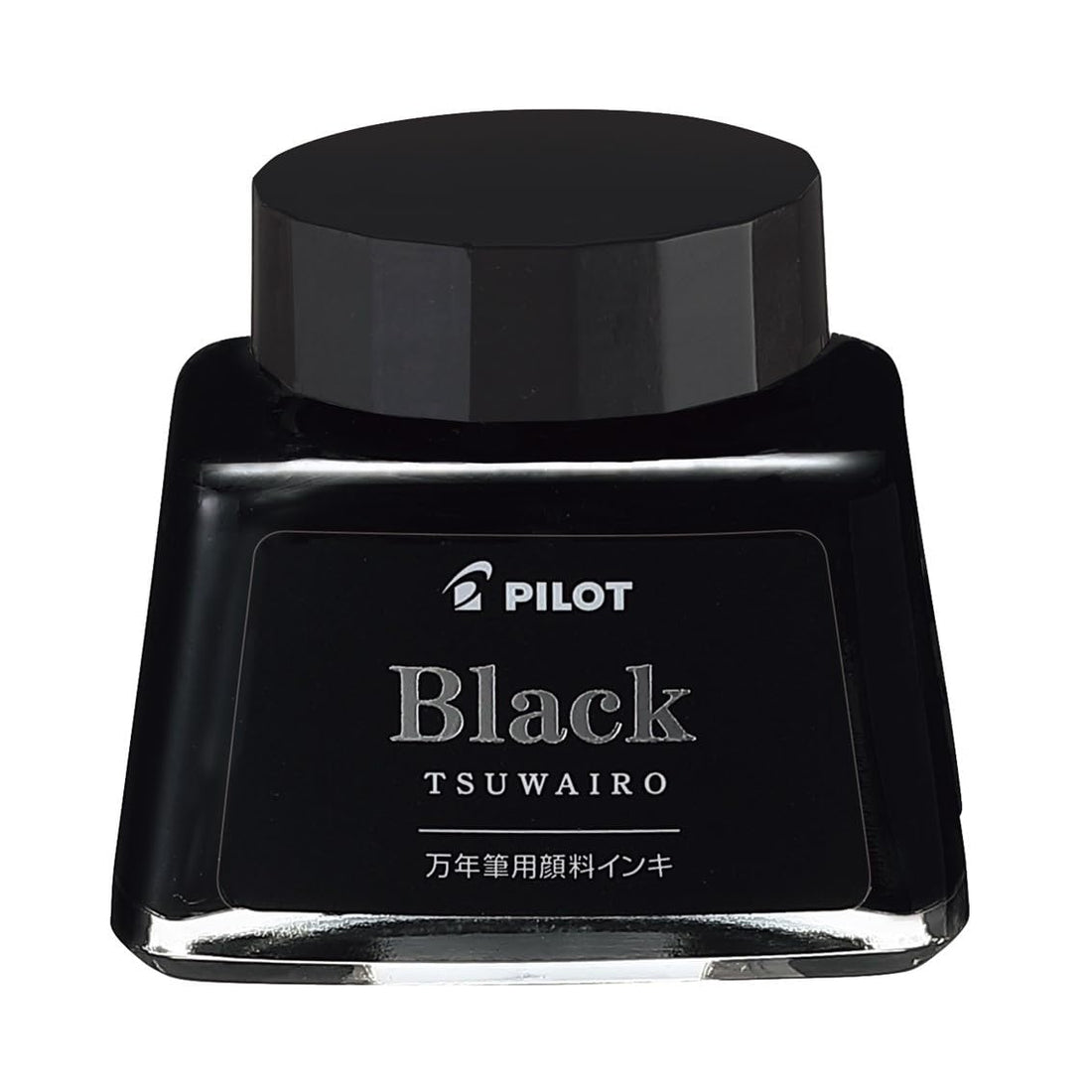 PILOT Pigment Ink 30ml for Vibrant Writing and Drawing