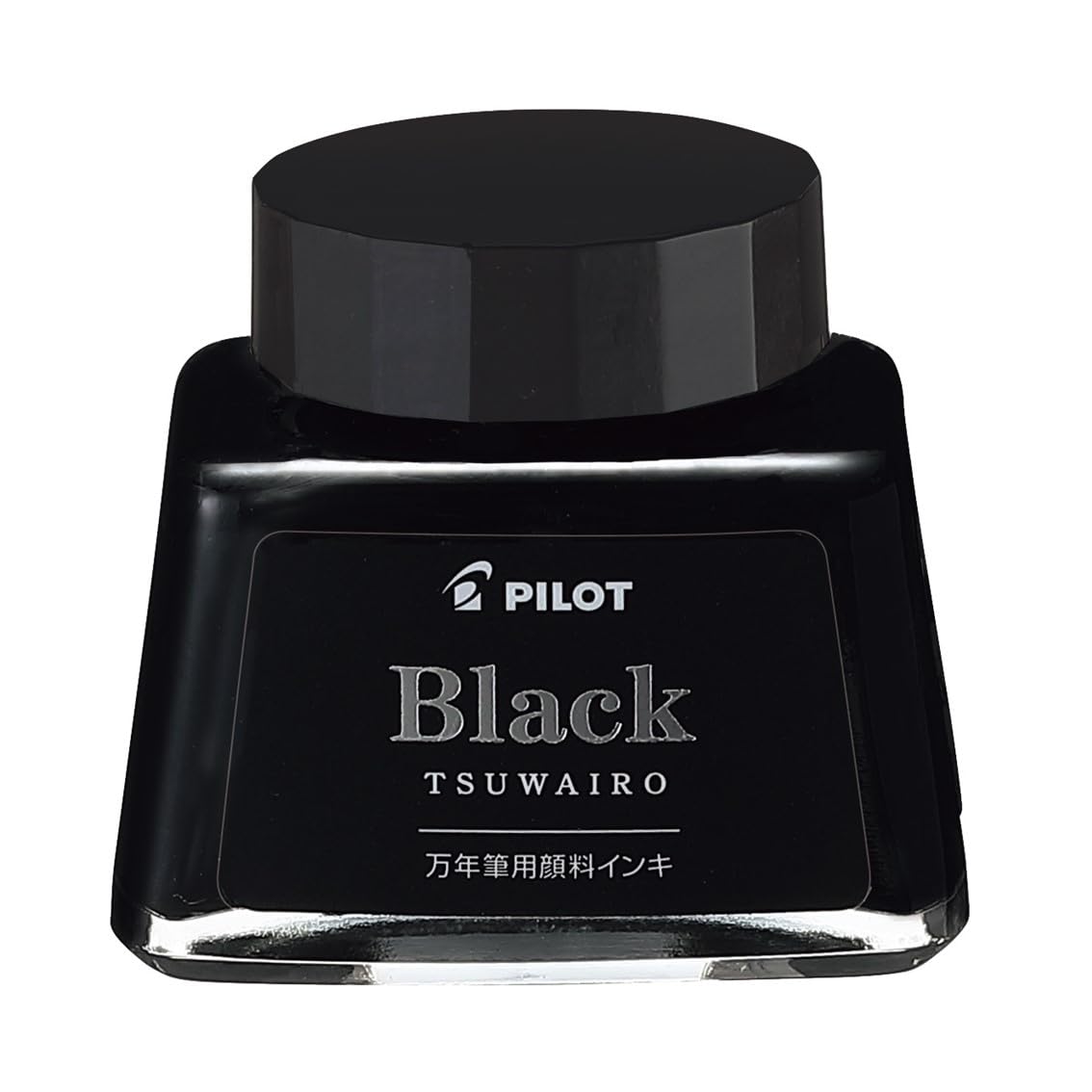 PILOT Pigment Ink 30ml for Vibrant Writing and Drawing