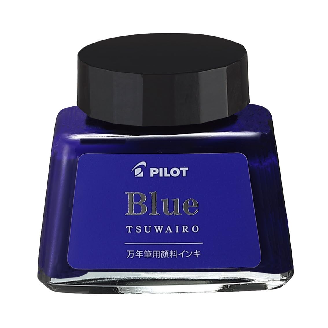 PILOT Pigment Ink 30ml for Vibrant Writing and Drawing