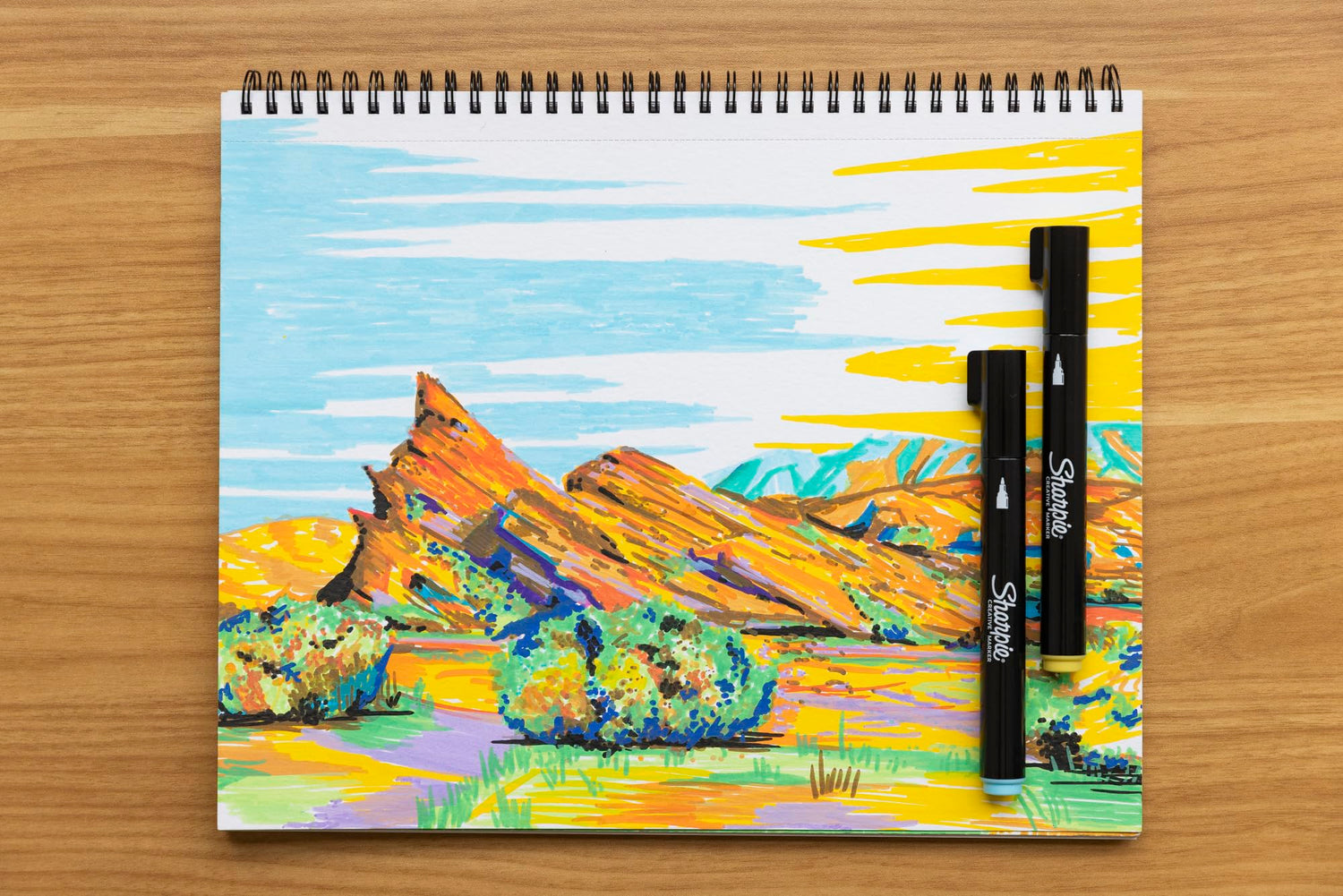 Sharpie Acrylic Markers Set with Various Color Options for Art Projects