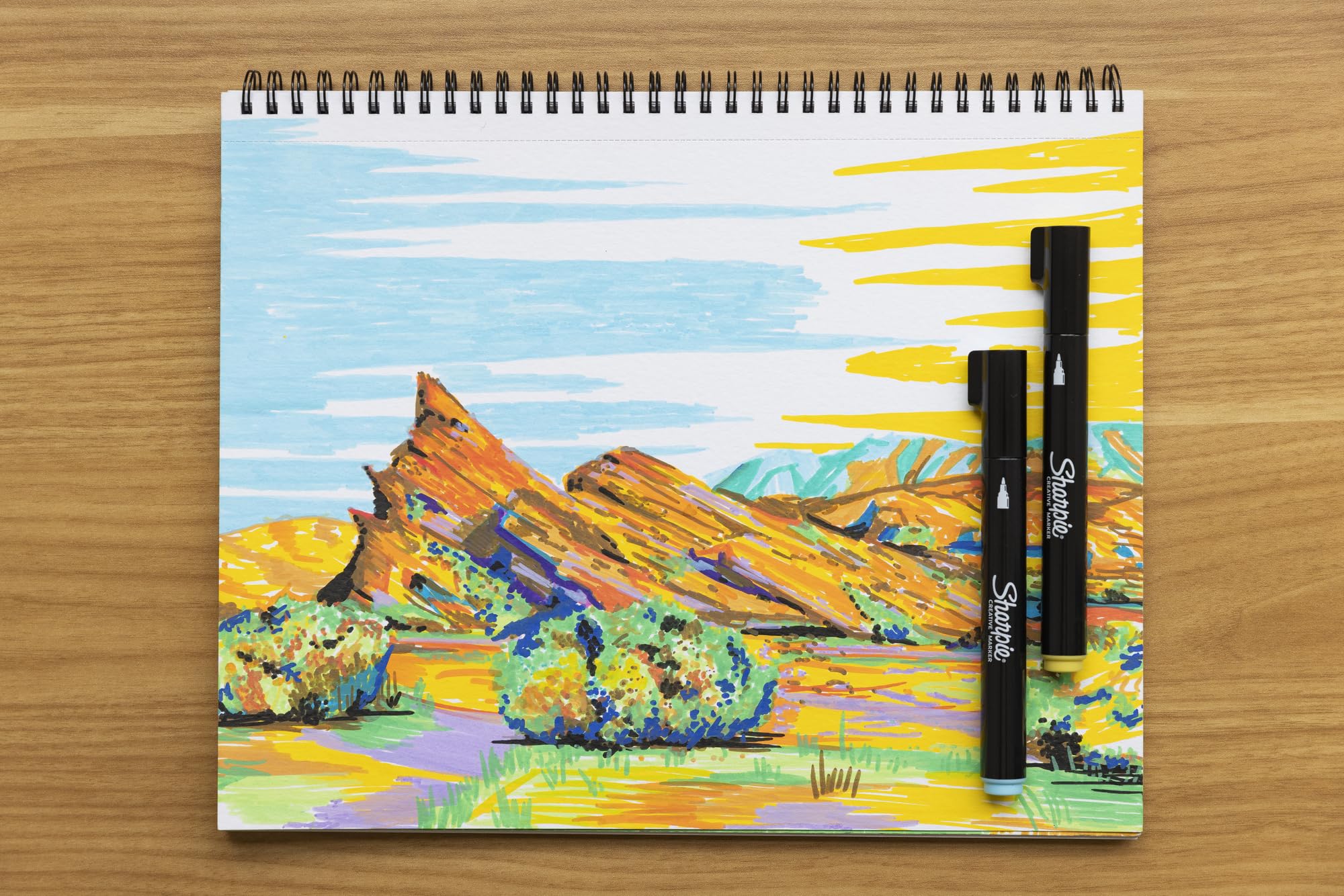 Sharpie Acrylic Markers Set with Various Color Options for Art Projects