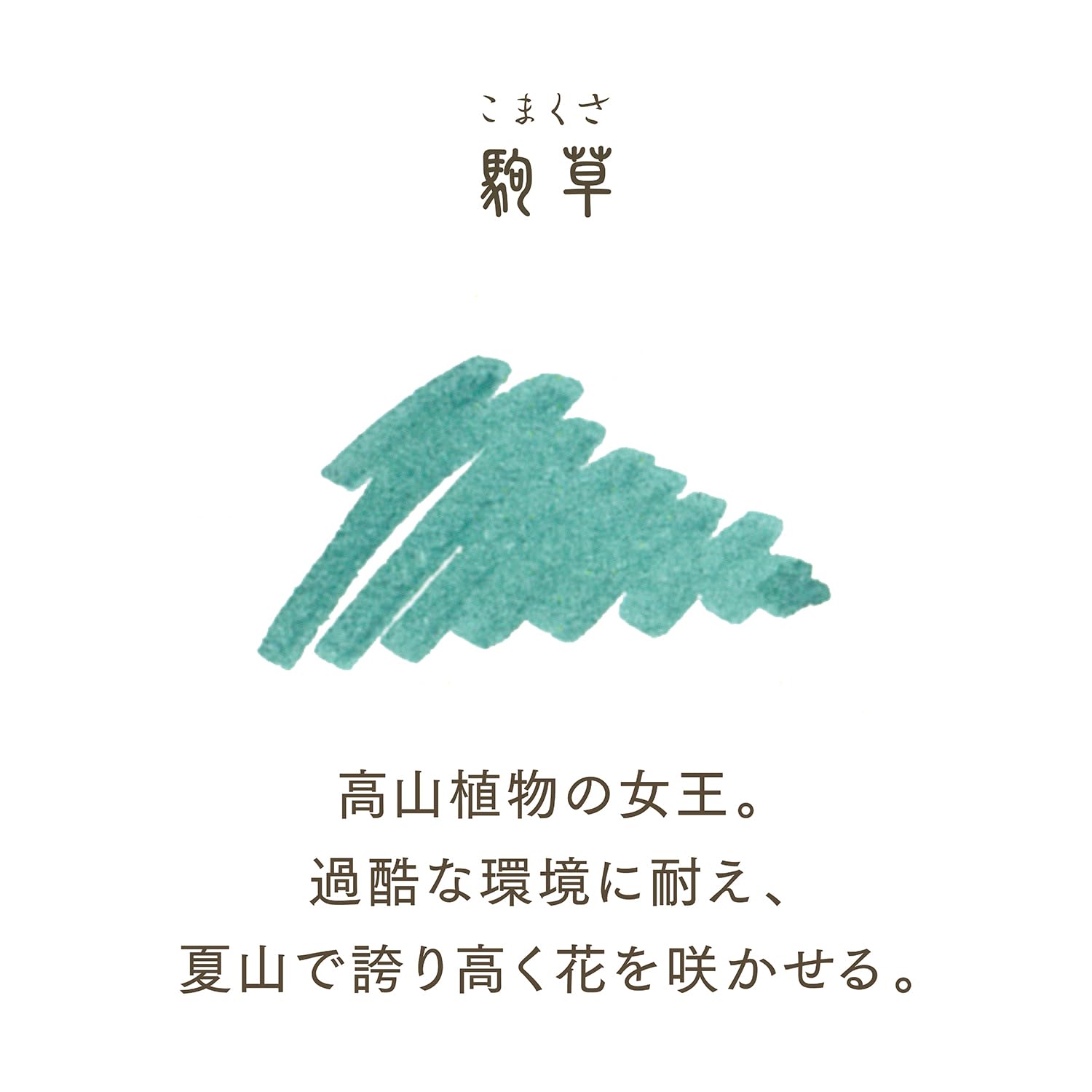 Sailor Fountain Pen Bottle Ink SHIKIORI 20ml with Beautiful Japanese Colors