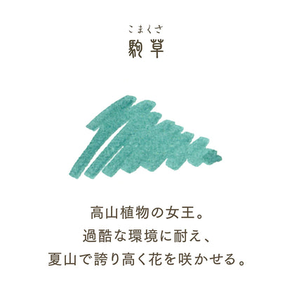 Sailor Fountain Pen Bottle Ink SHIKIORI 20ml with Beautiful Japanese Colors