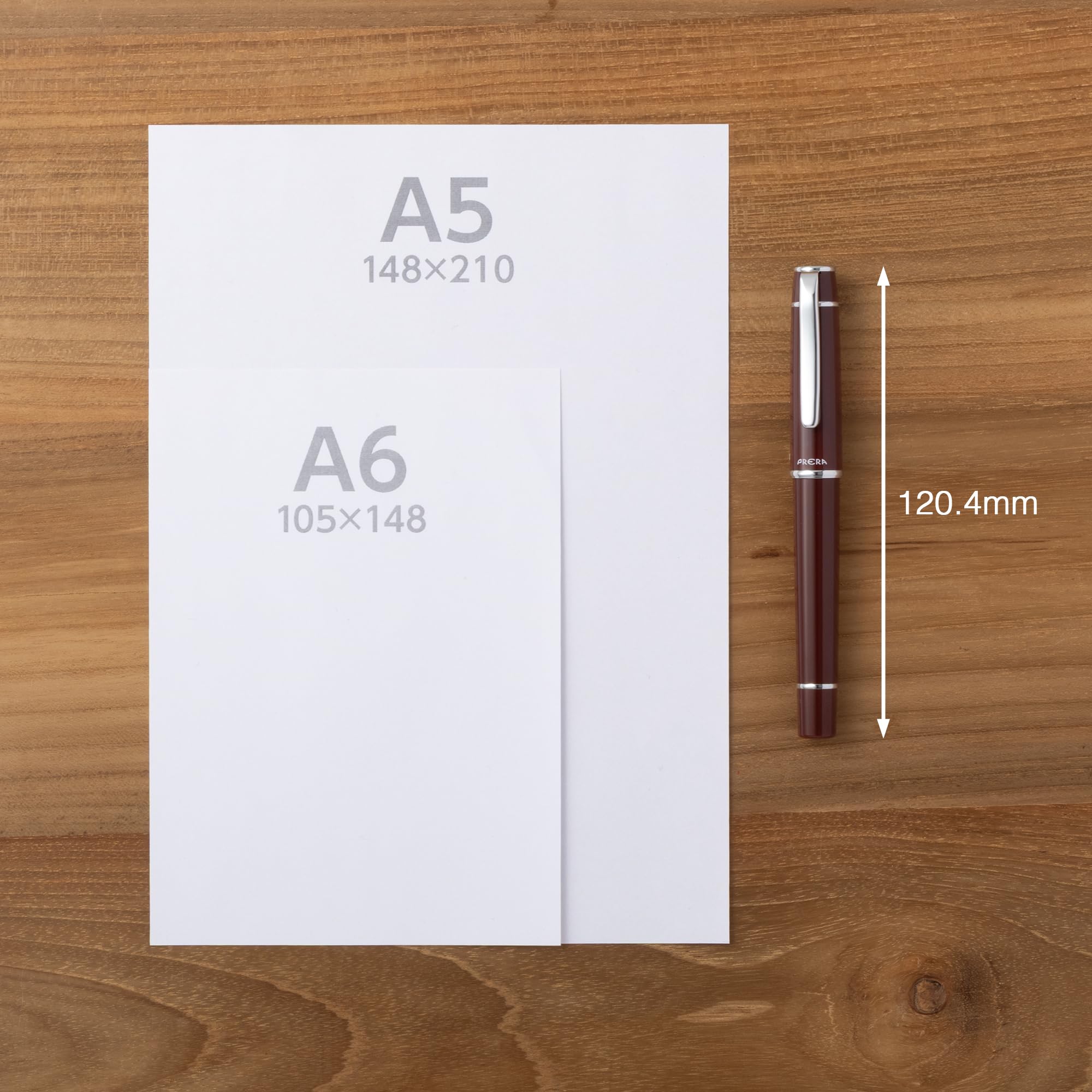 PILOT Prera Fountain Pen Fine &amp; Medium Point