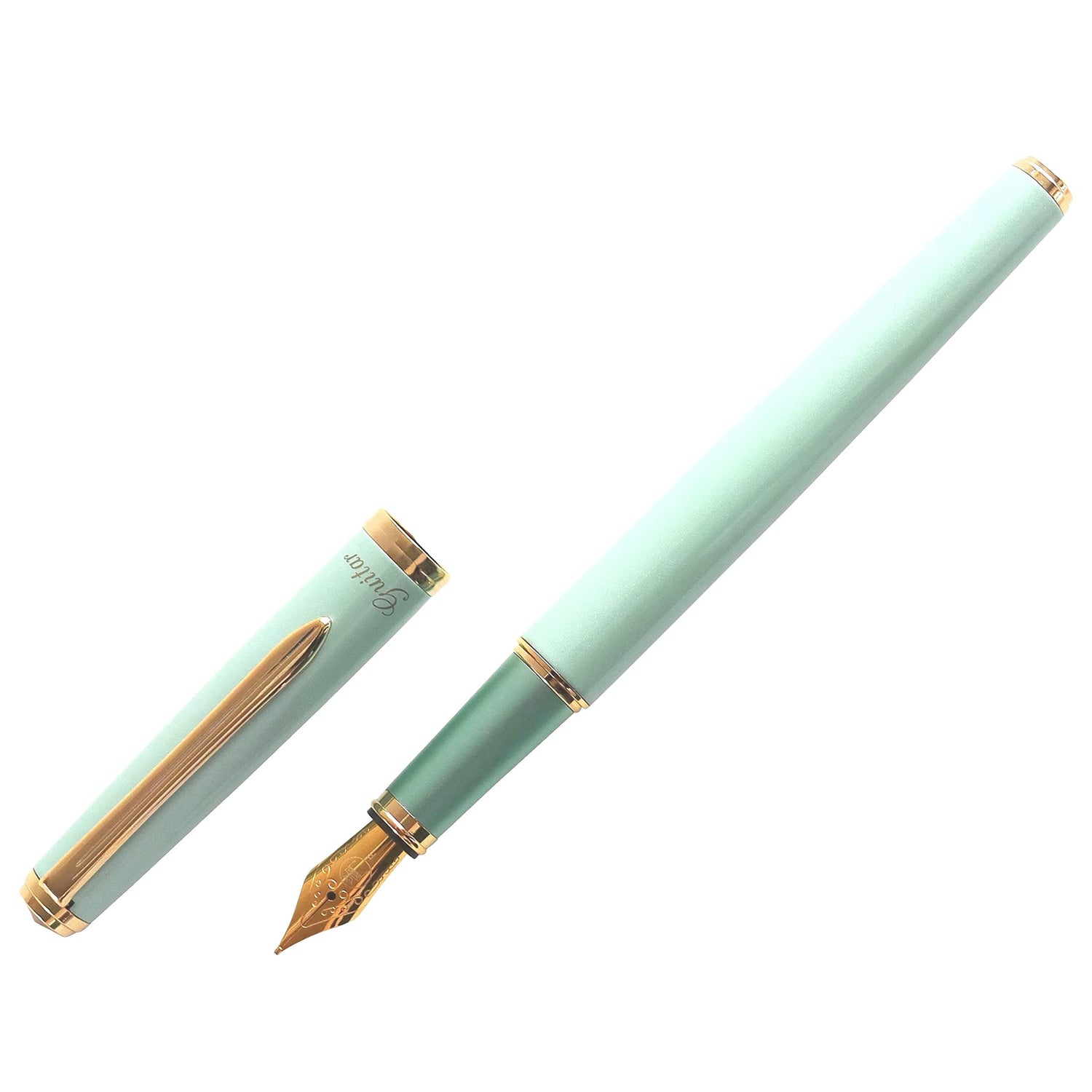 Teranishi Chemical Industry Guitar Fountain Pen Brillante
