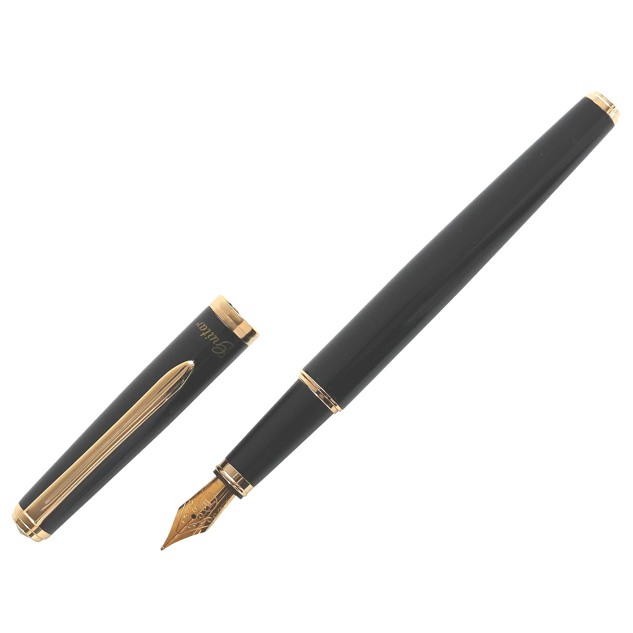 Teranishi Chemical Industry Guitar Fountain Pen Brillante