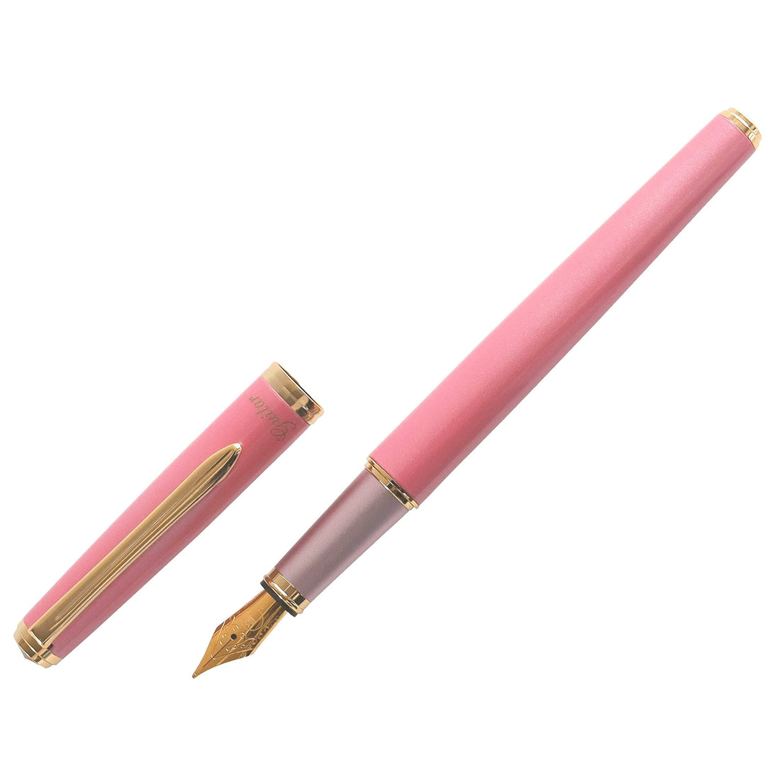 Teranishi Chemical Industry Guitar Fountain Pen Brillante