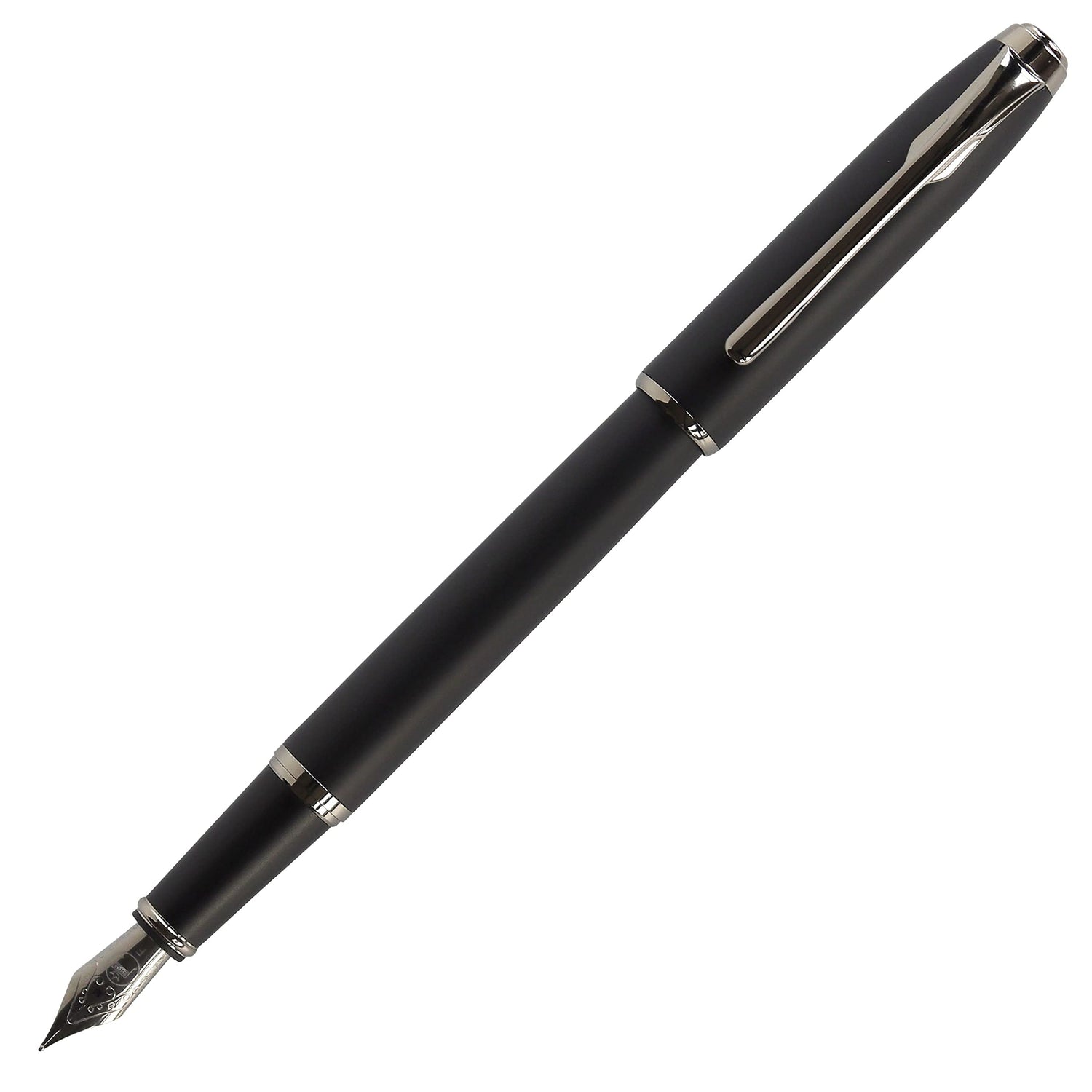 Teranishi Chemical Fountain Pen &amp; Guitar Pen Fine Point