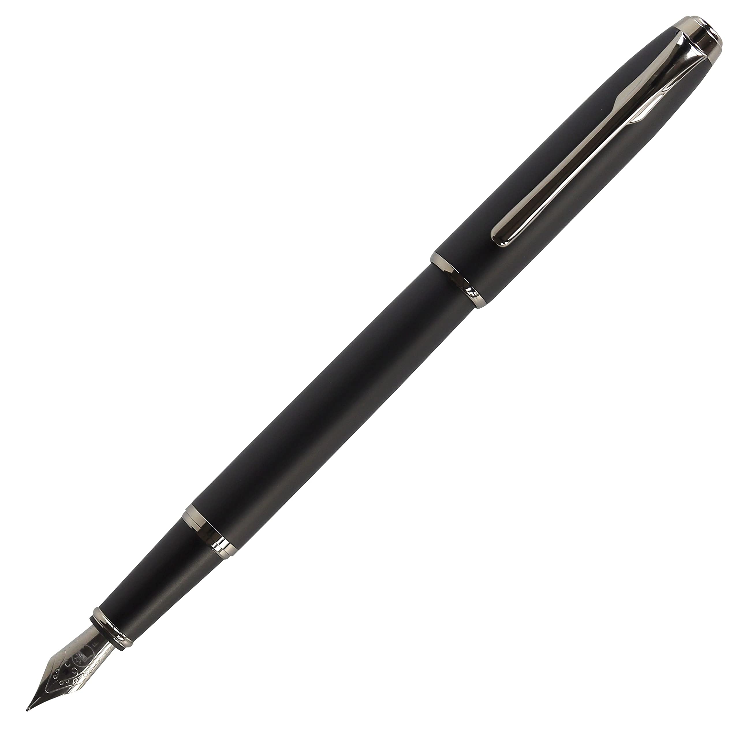 Teranishi Chemical Fountain Pen &amp; Guitar Pen Fine Point