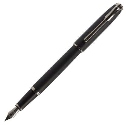 Teranishi Chemical Fountain Pen &amp; Guitar Pen Fine Point