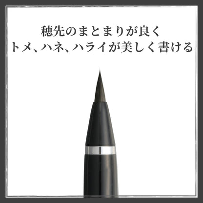 Kuretake Brush Pen &amp; Fountain Pen for Calligraphy and Art
